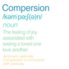 Compersion definition